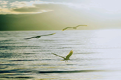 影视后期剪辑：赋予影像新生命